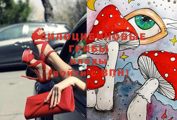 тгк Семёнов
