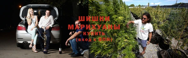 MESCALINE Богородицк