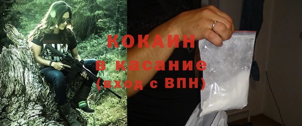 крисы Богородск