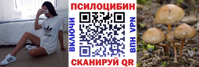 даркнет сайт  Кировград  мориарти состав  Псилоцибиновые грибы Magic Shrooms 